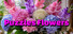 Puzzles Flowers