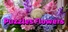 Puzzles Flowers