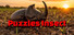 Puzzles Insect