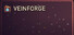 VEINFORGE