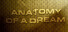 Anatomy of a Dream