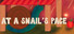 At a Snail's Pace