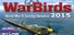 WarBirds - World War II Combat Aviation