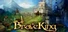 BraveKing
