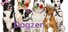Dogzer