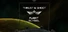Thrust & Shoot : Flight School