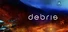Debris