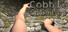 Cobble Climber