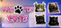 PawTop Cats