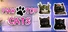 PawTop Cats