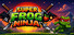 Super Frog Ninja
