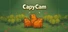 CapyCam