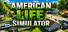 AMERICAN LIFE SIMULATOR