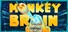 Monkey Brain