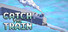 Catch The Train