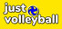 just volleyball