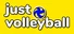 just volleyball