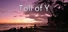 Toll of Y