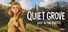 Quiet Grove: Lost in the Fog