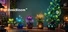 DeskBloom