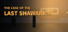 THE CASE OF THE LAST SHAWARMA