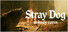 Stray Dog: nobody cares
