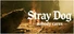 Stray Dog: nobody cares