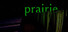 Prairie