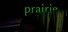 Prairie