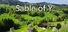 Sable of Y