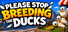Please Stop Breeding the Ducks