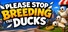 Please Stop Breeding the Ducks