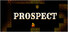 Prospect