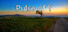 Pulse of Y