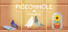 Pigeonhole Principle