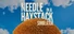 Needle In A Haystack Simulator