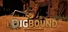 Digbound