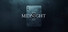 The Midnight 21