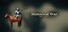 Historical War：The Animation