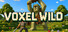 Voxel Wild