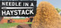 Needle In A Haystack