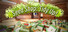 Seed Shop: Tidy Up!