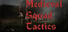 Medieval Squad Tactics