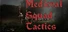 Medieval Squad Tactics