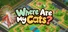 Where Are My Cats?