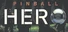 Pinball Hero