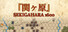 Sekigahara 1600