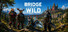 Bridge Of The Wild