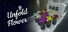 Unfold Flower