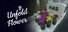 Unfold Flower